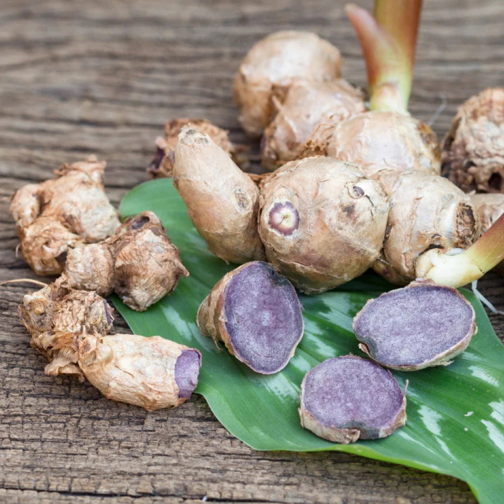 Black Ginger Matcha Tablets, 180 Tablets – Japanese Matcha Powder – Thai Black Ginger – Hand-Picked Green Tea Leaf Powder – Antioxidant Superfood – Natural Caffeine, Chlorophyll, & EGCG